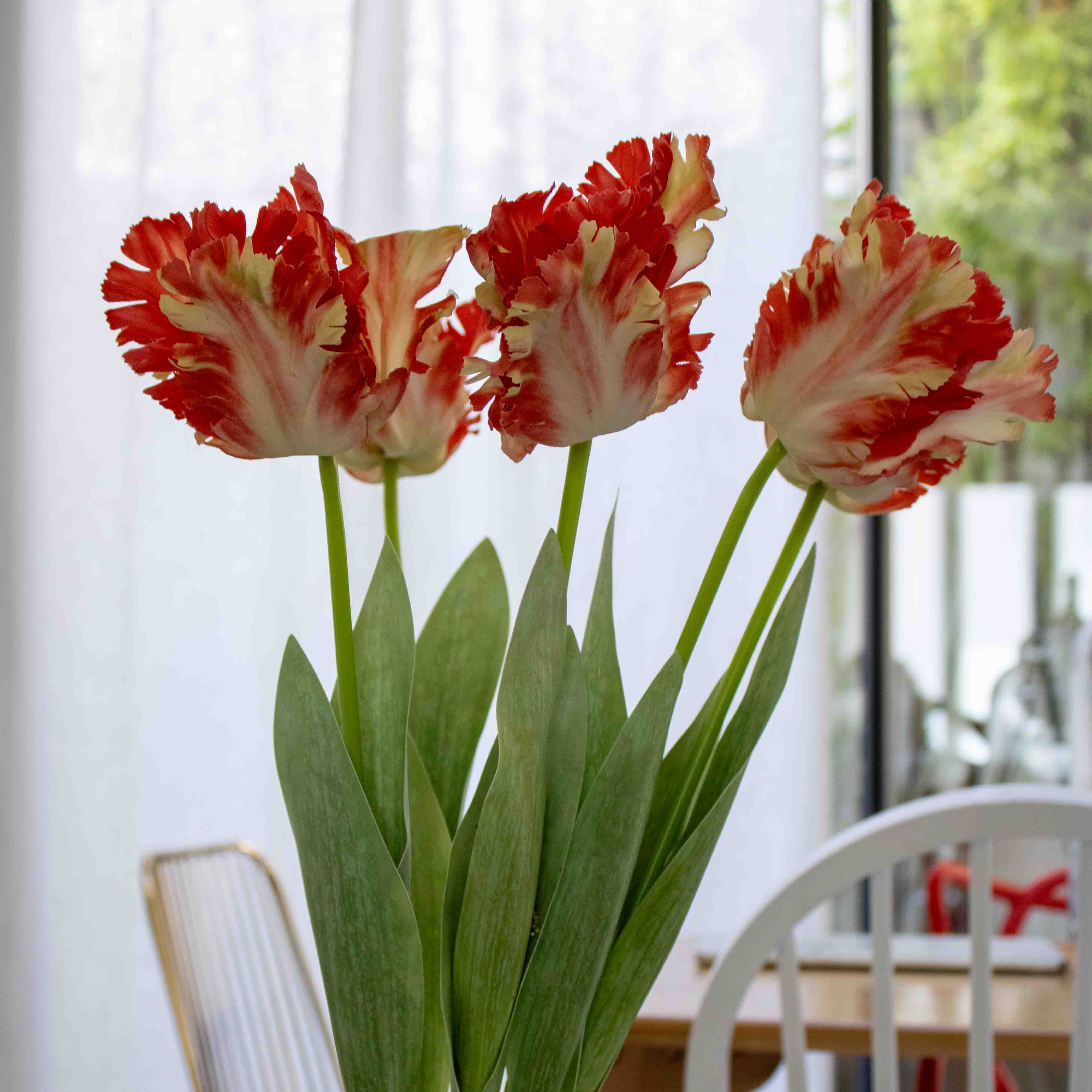 Flowrette Tulipe perroquet orange fleur artificielle x1 Real Touch