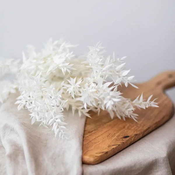 Flowrette White ruscus botte feuillage stabilisé blanc