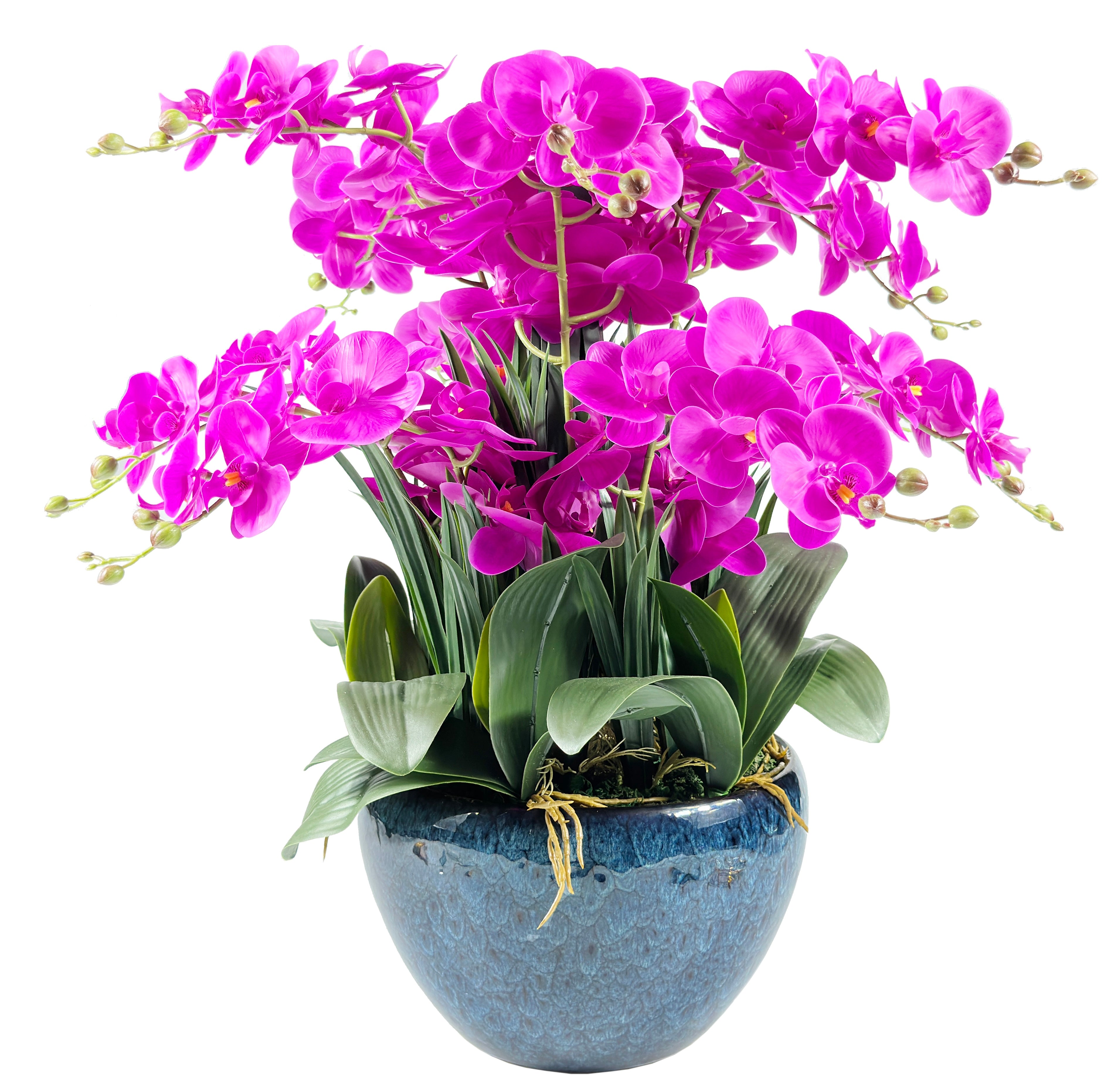 Côte Noire Perfumed Flowers GO09 orchidée artificielle fuchsia