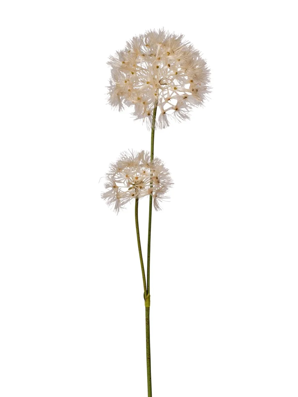 Feuillazur Rungis Branche de pissenlit fleur artificielle