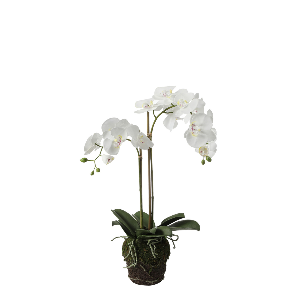 Sia Home Orchidée terre composition artificielle blanc 70 cm