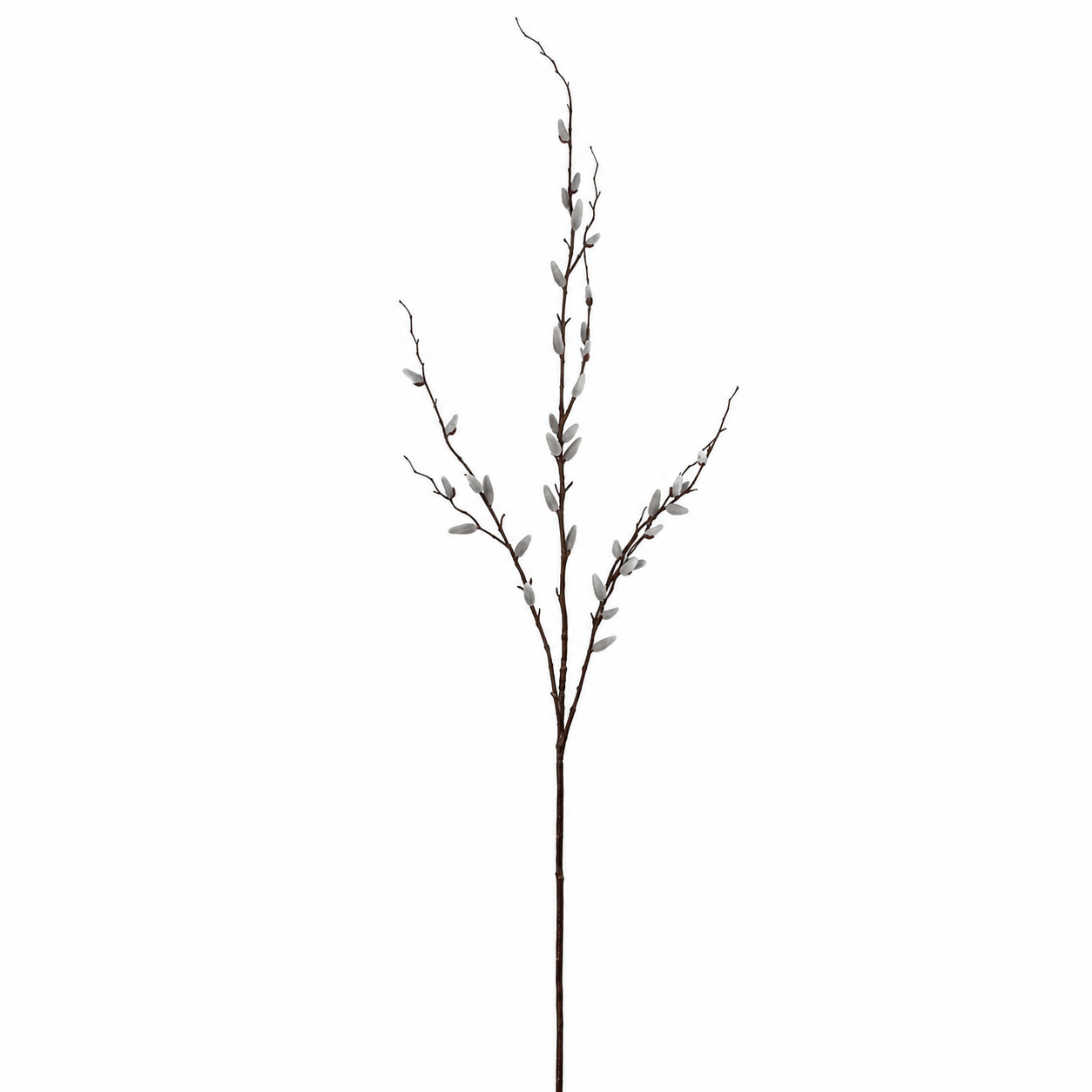 Sia Home Branche de Saule 155 cm branche artificielle crème