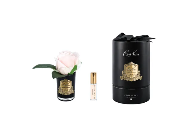 Côte Noire RMRB55 boutons roses champagne vase noir