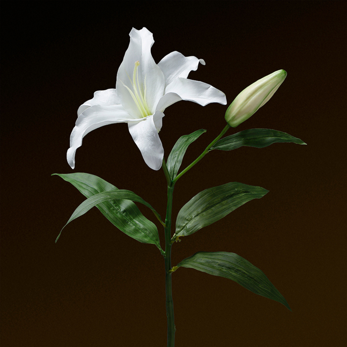 Sia Home Lys Casablanca tige artificielle blanc 65 cm premium