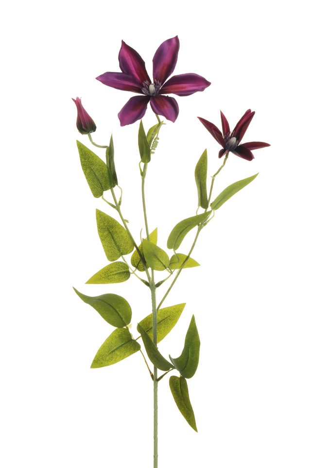 Feuillazur Clématite fleur artificielle violet 72cm sans entretien