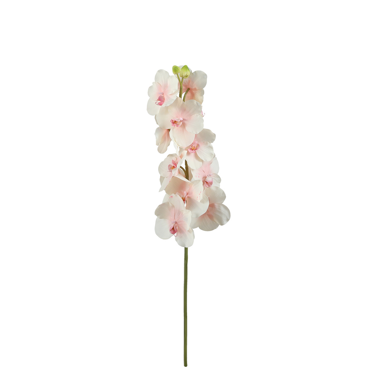 Sia Home Bandailan tige orchidée artificielle blanc rose 66 cm