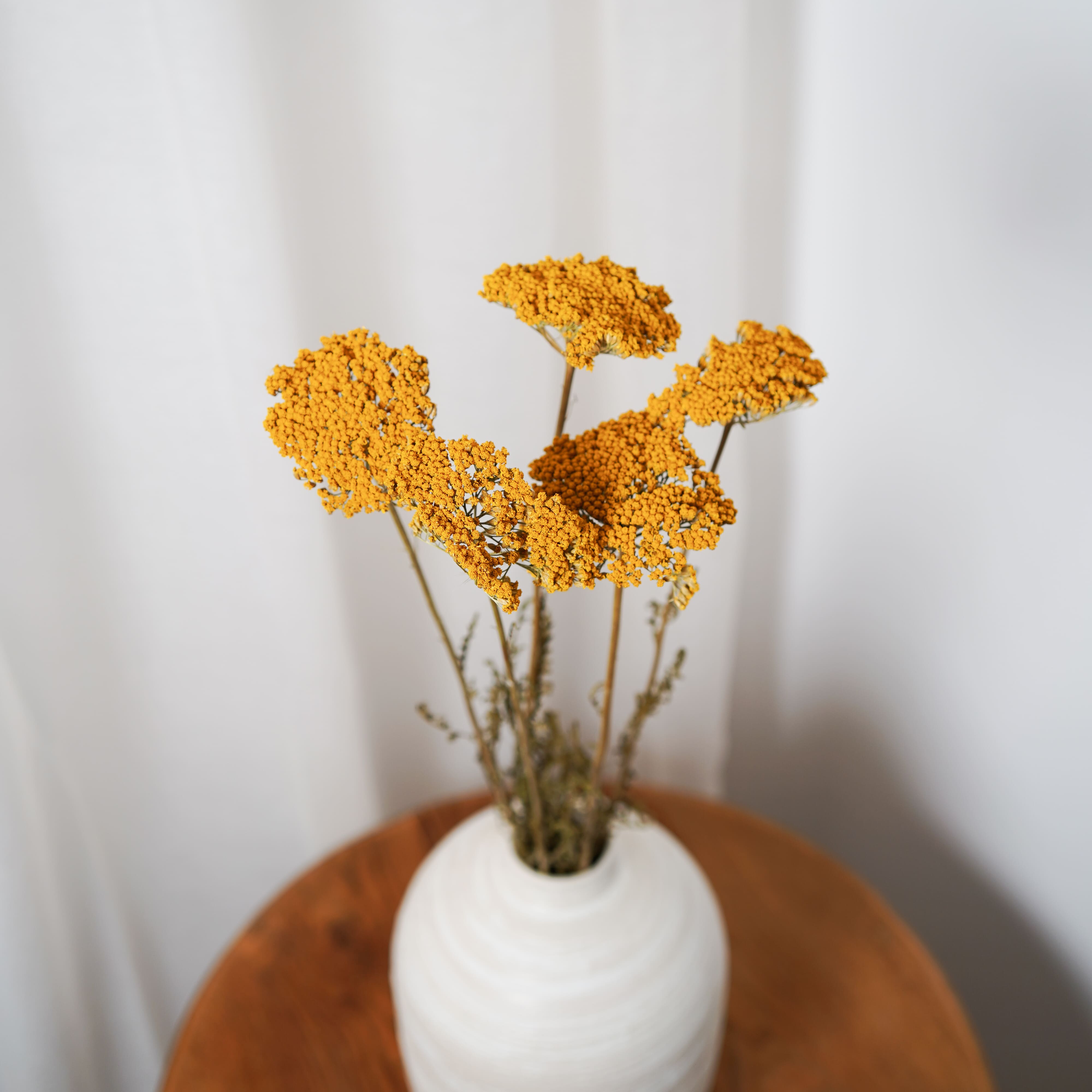 Flowrette Achillée Parker jaune fleur séchée botte x1