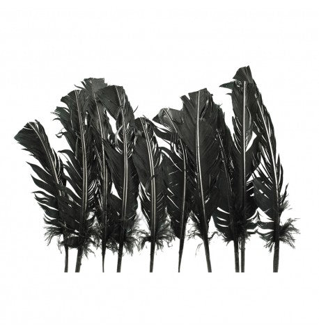 Feuillazur Rungis Plumes de dinde plumes noires lot 10 gothique