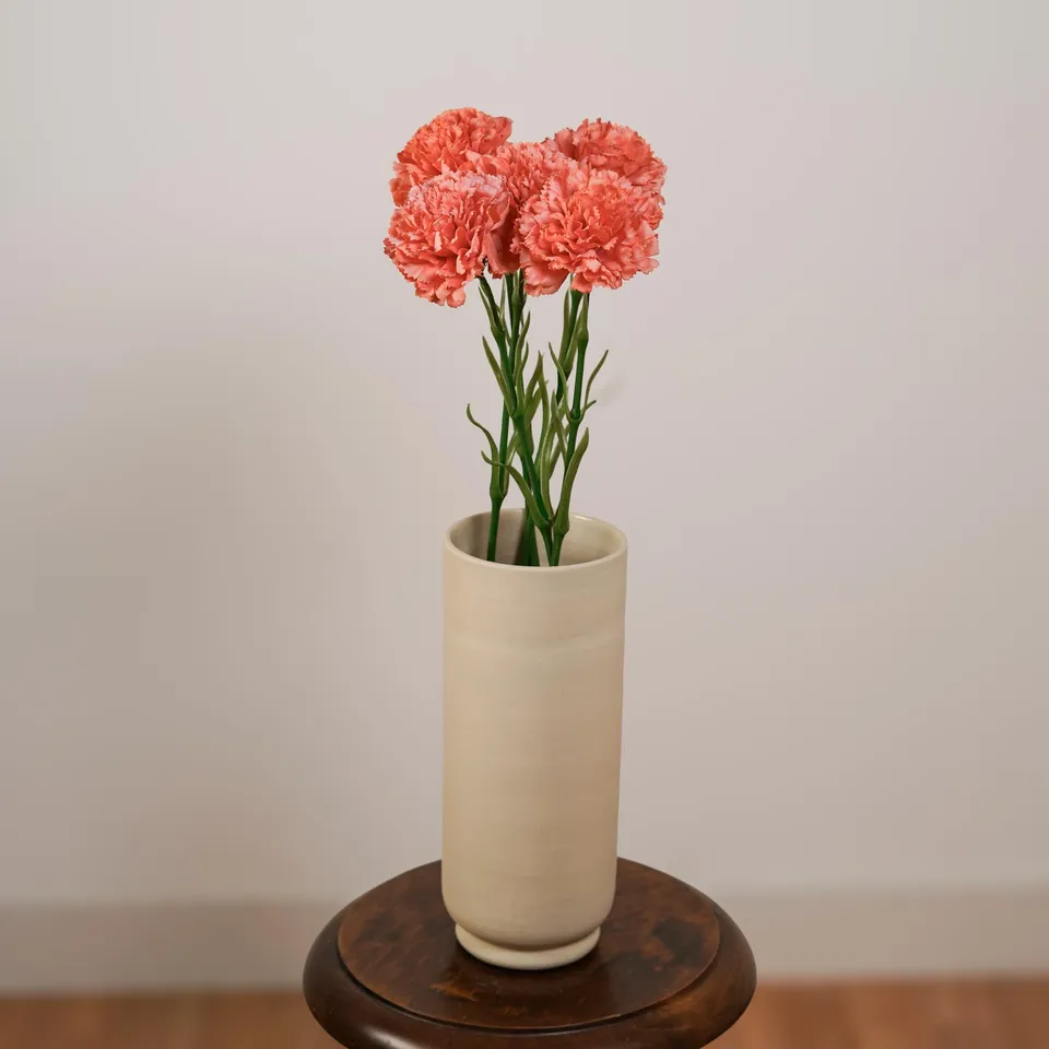 Flowrette Oeillet artificiel corail tige x1 toucher naturel