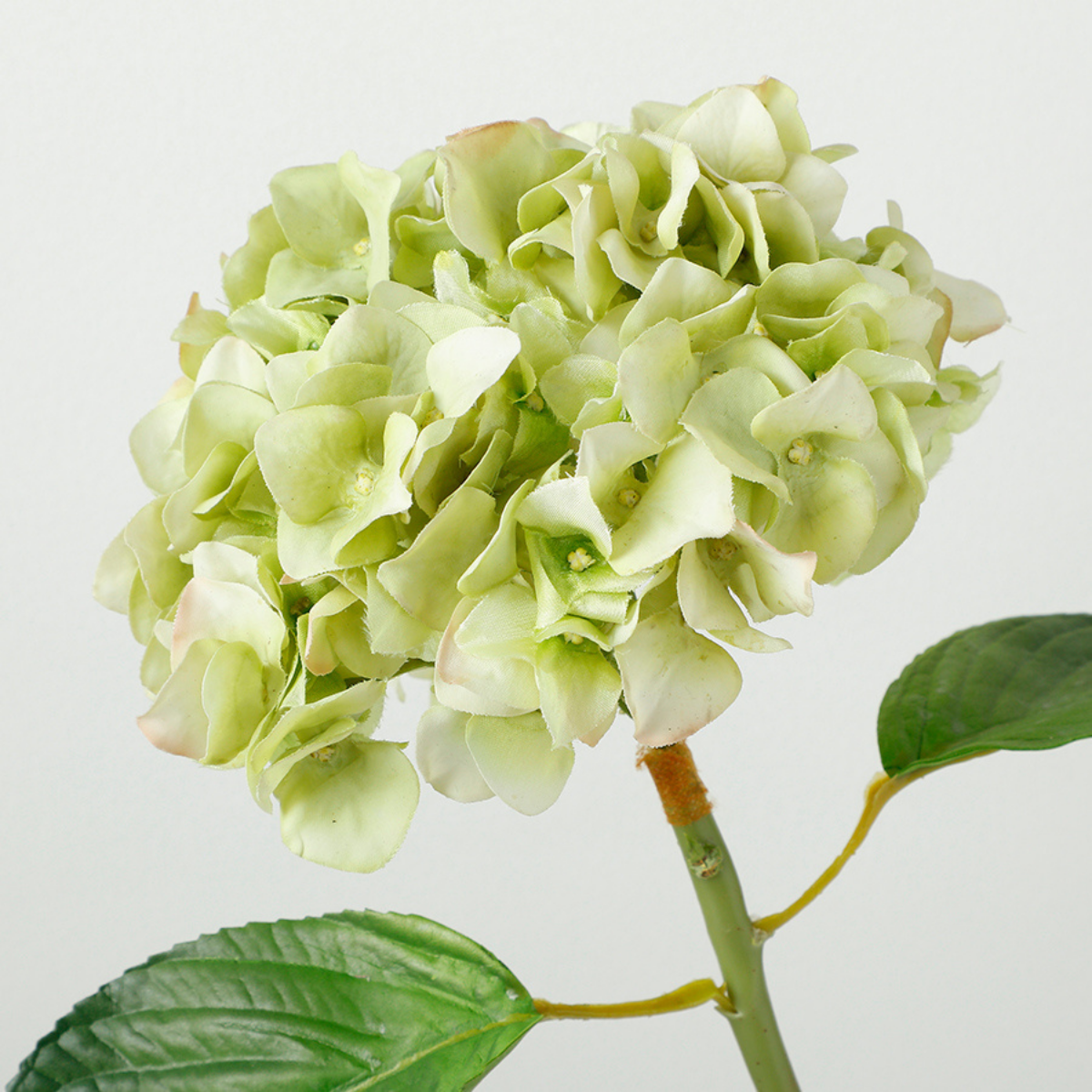 Sia Home Hortensia Premium 45 cm tige blanc et rose