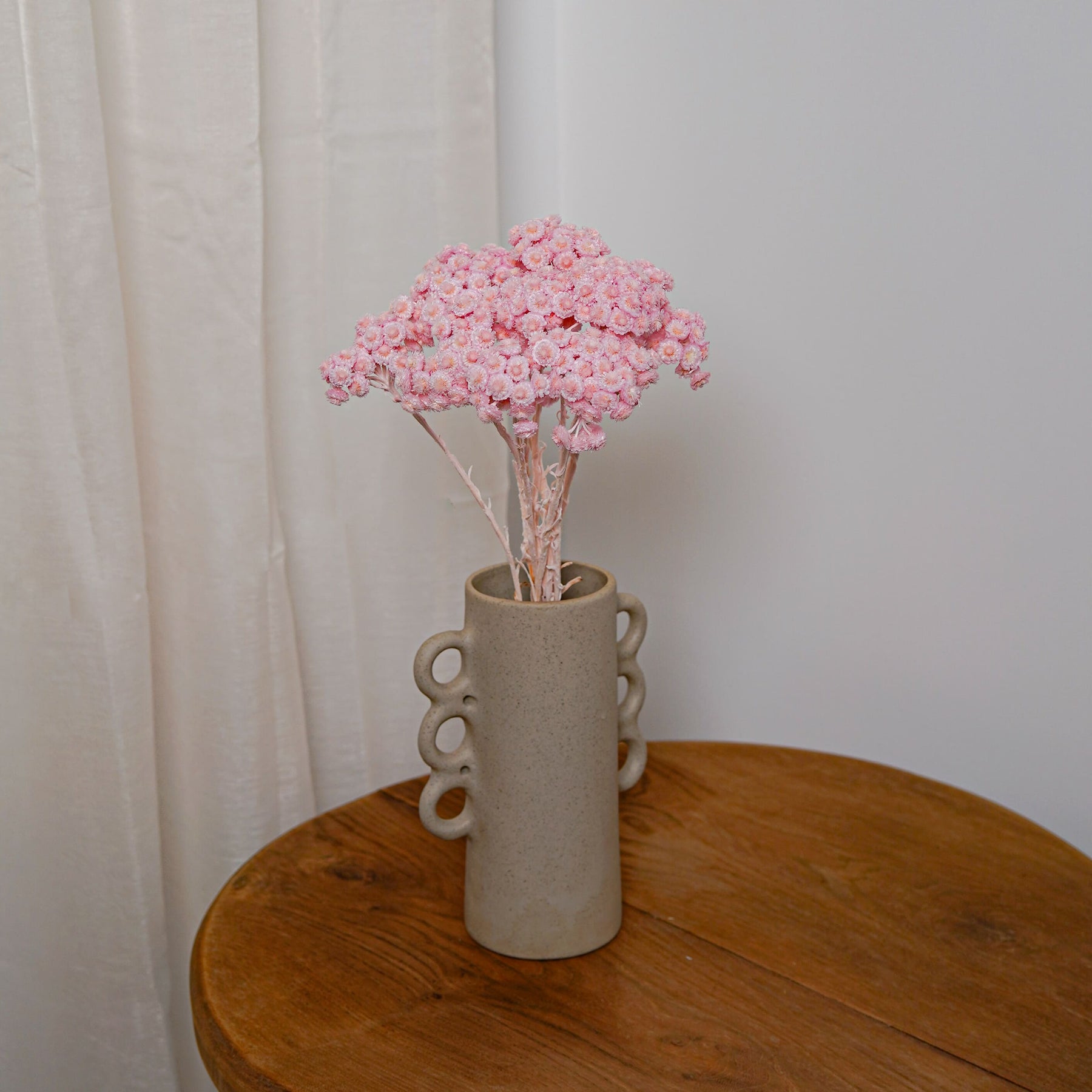 Flowrette Immortelle du Var rose fleurs séchées botte