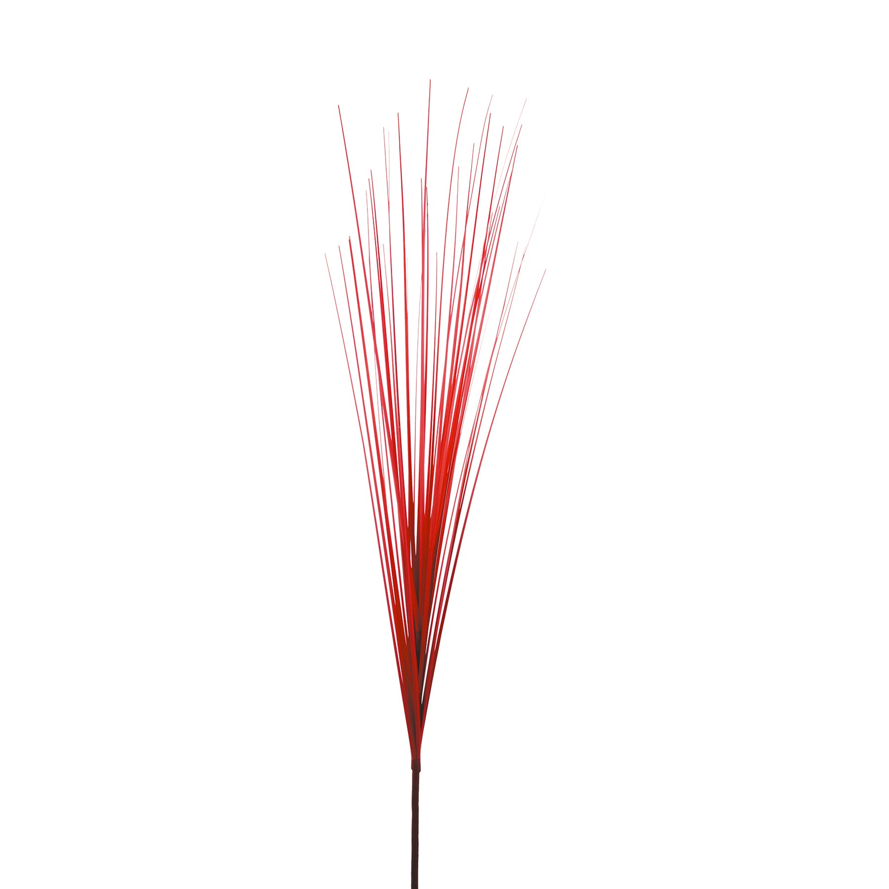 Sia Home Touffe d'Herbes 75 cm rouge