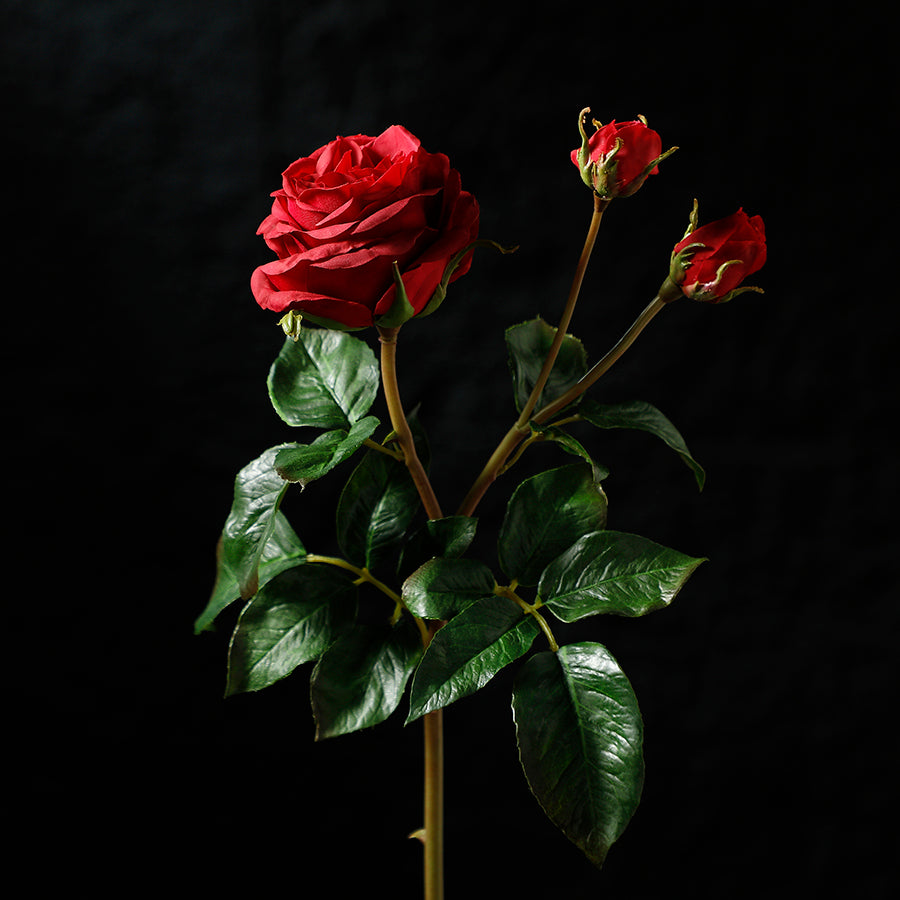 Sia Home Premium tige rose artificielle rouge 55cm ouverte