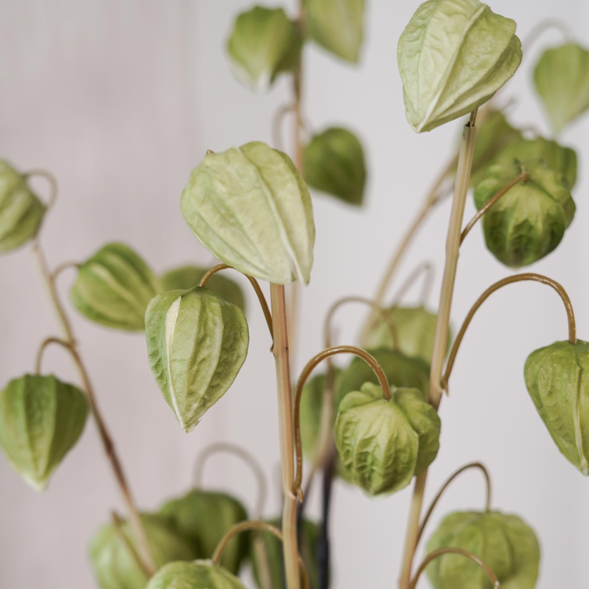 Flowrette Amour en cage branche artificielle verte x1