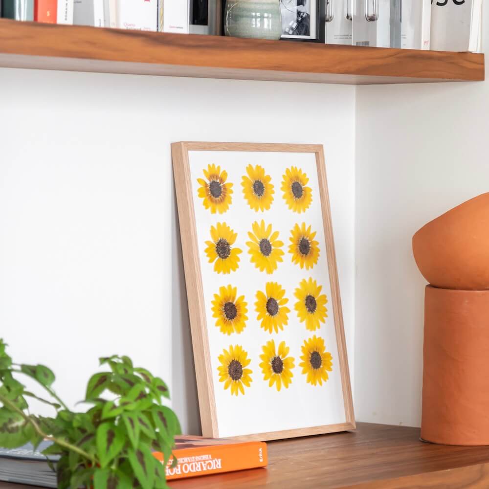 Flowrette Herbier Tournesols fleurs pressées jaunes A4