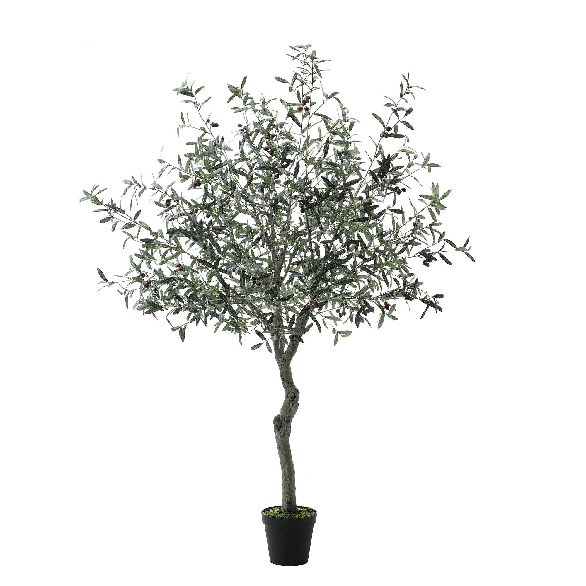 Sia Home Olivier arbre artificiel en pot vert 210 cm