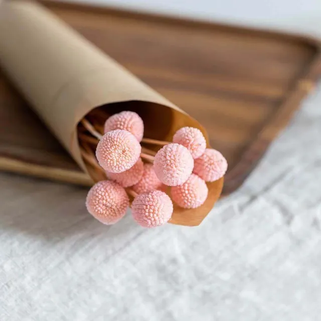 Flowrette Craspedia botte séchée rose x1