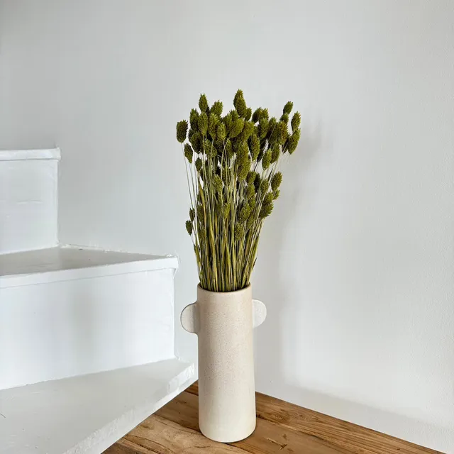 Flowrette Phalaris vert olive fleurs séchées botte x1
