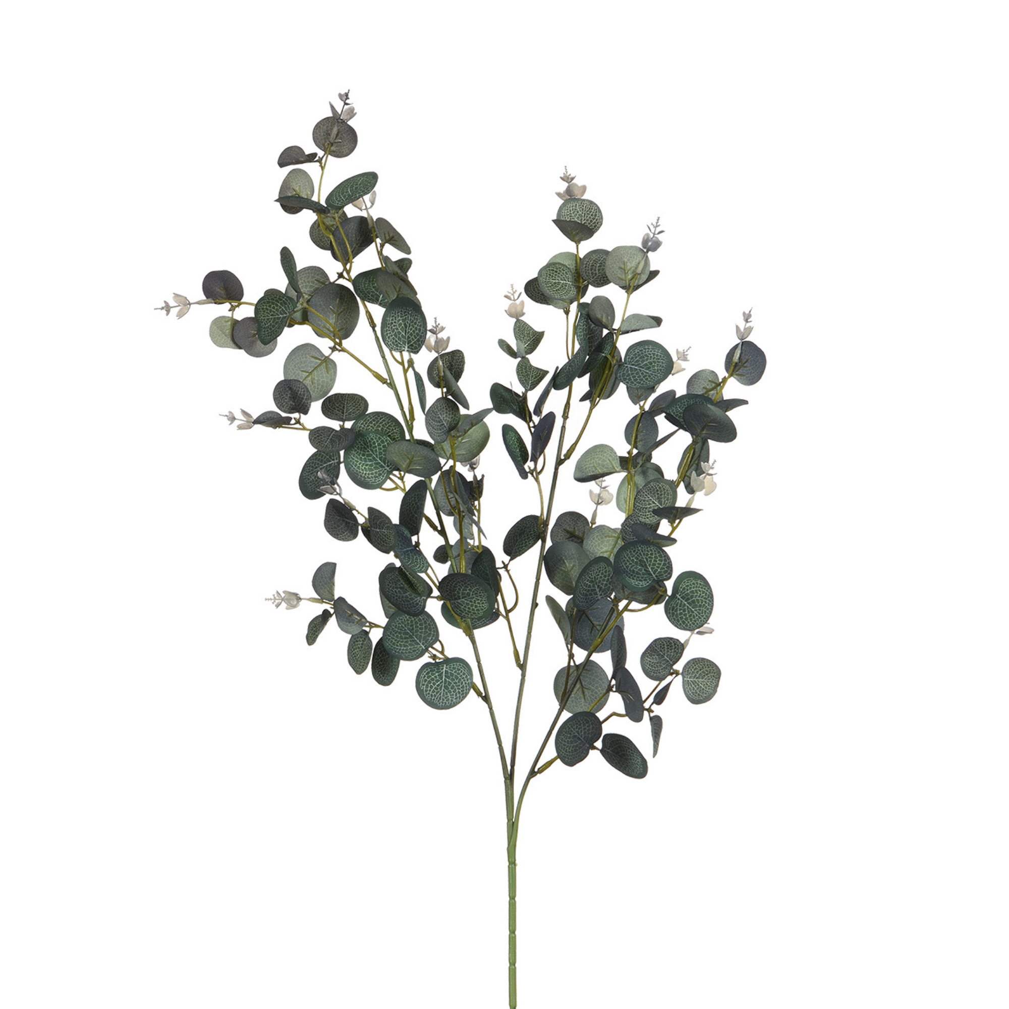 Sia Home Feuillages Eucalyptus 80cm feuillage artificiel vert