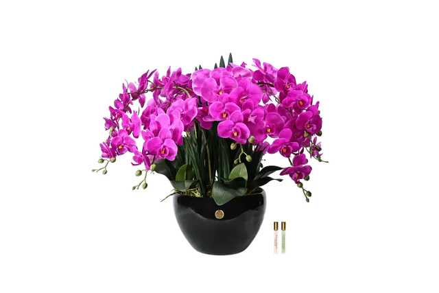 Côte Noire Perfumed Flowers GO09 orchidée artificielle fuchsia