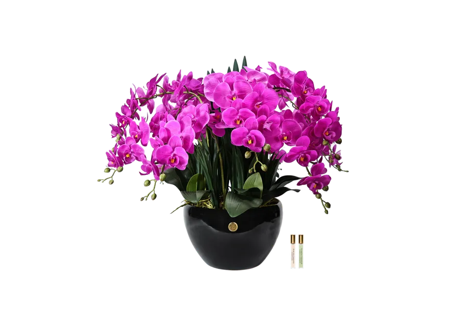 Côte Noire Perfumed Flowers GO09 orchidée artificielle fuchsia