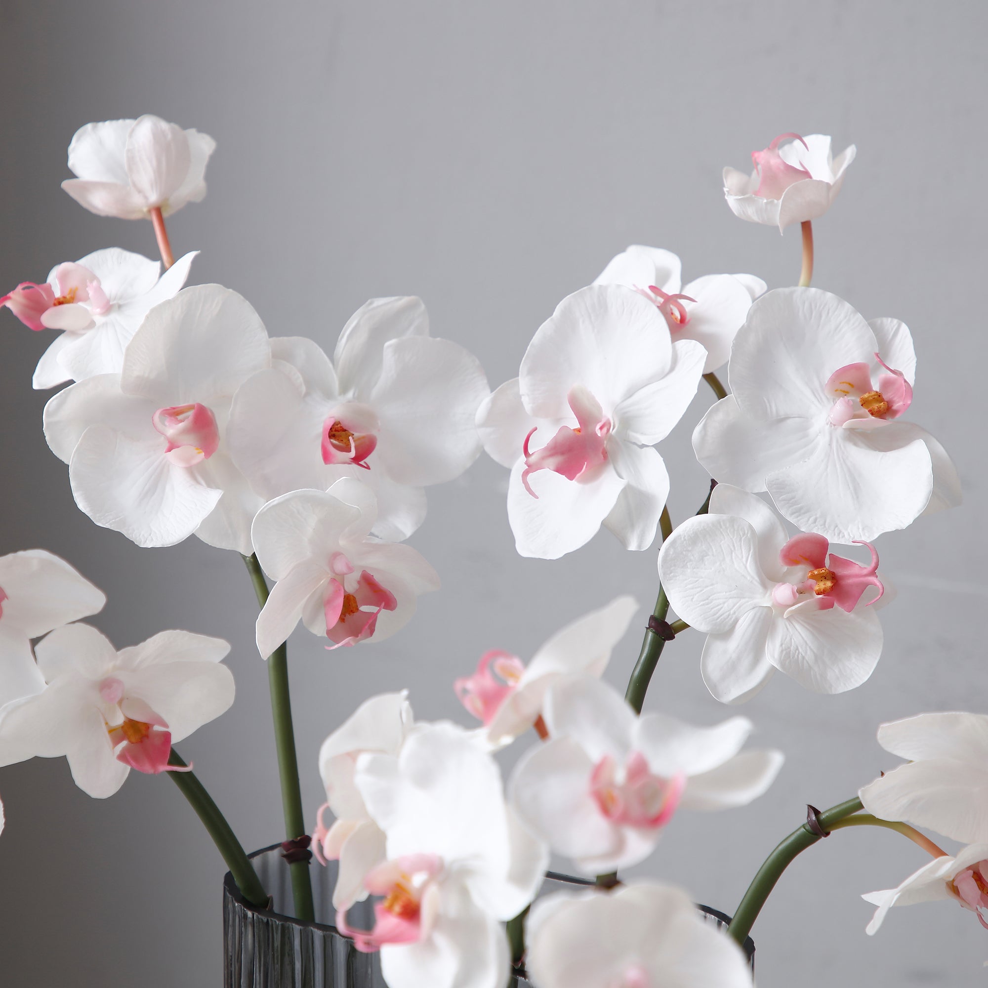 Sia Home Orchidée Phalaenopsis 60 cm tige artificielle blanc