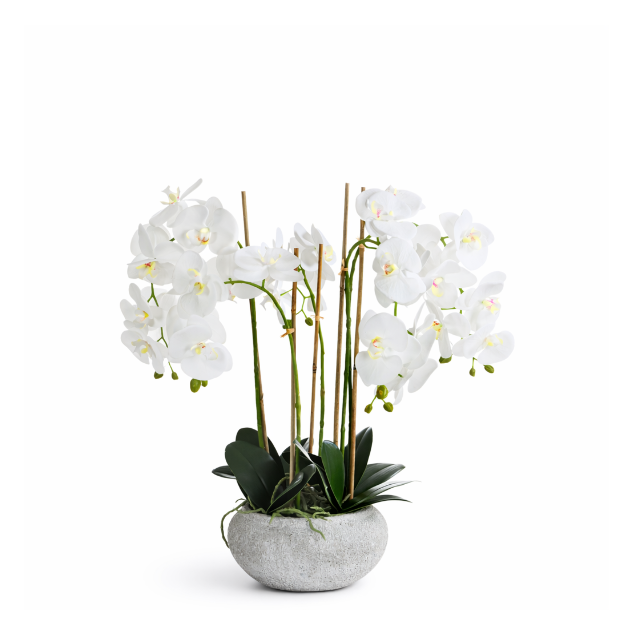 Sia Home Séréna Orchidée Composition Blanche 65 cm