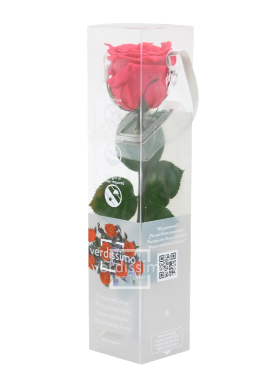 Feuillazur Rungis Mini Rose Stabilisée Rouge 26cm