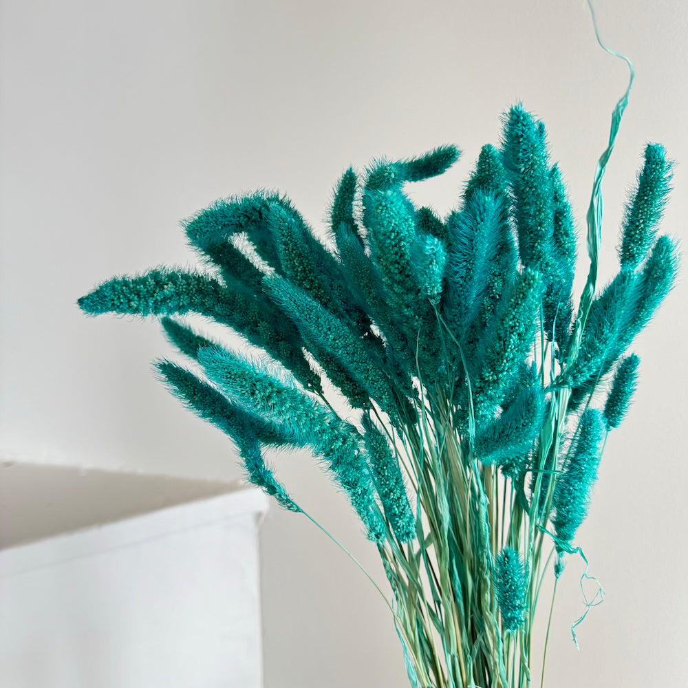 Flowrette Fleurs séchées botte sétaire turquoise x1 déco