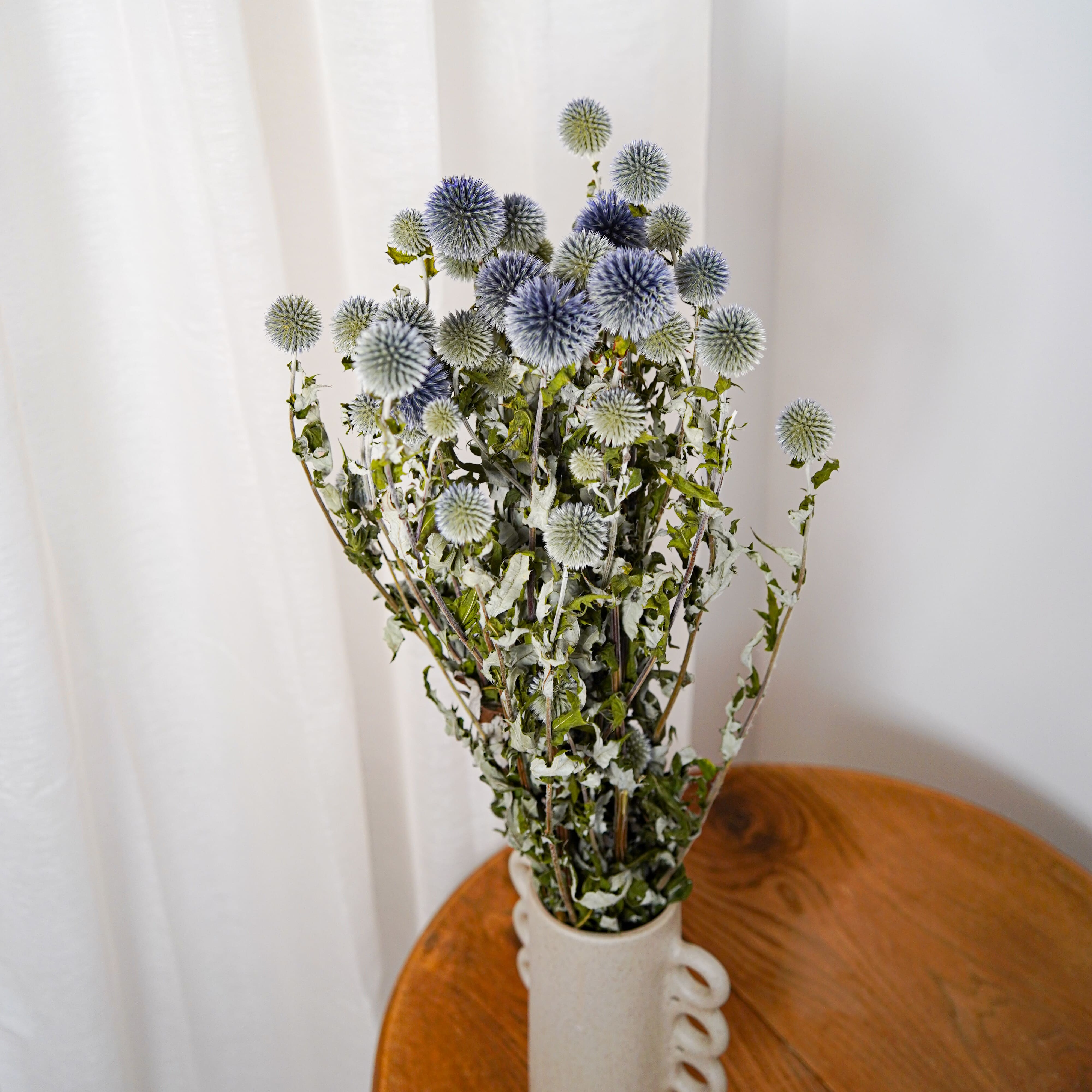 Flowrette Fleurs séchées Botte Echinops bleu x1