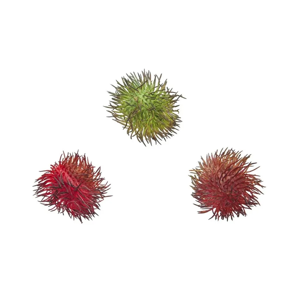 Sia Home Feuillages Ramboutan fruits artificiels Rouge 7 cm