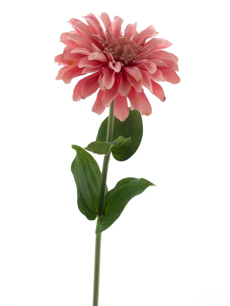 Feuillazur Rungis Zinna Fleur Artificielle Rose 58 cm