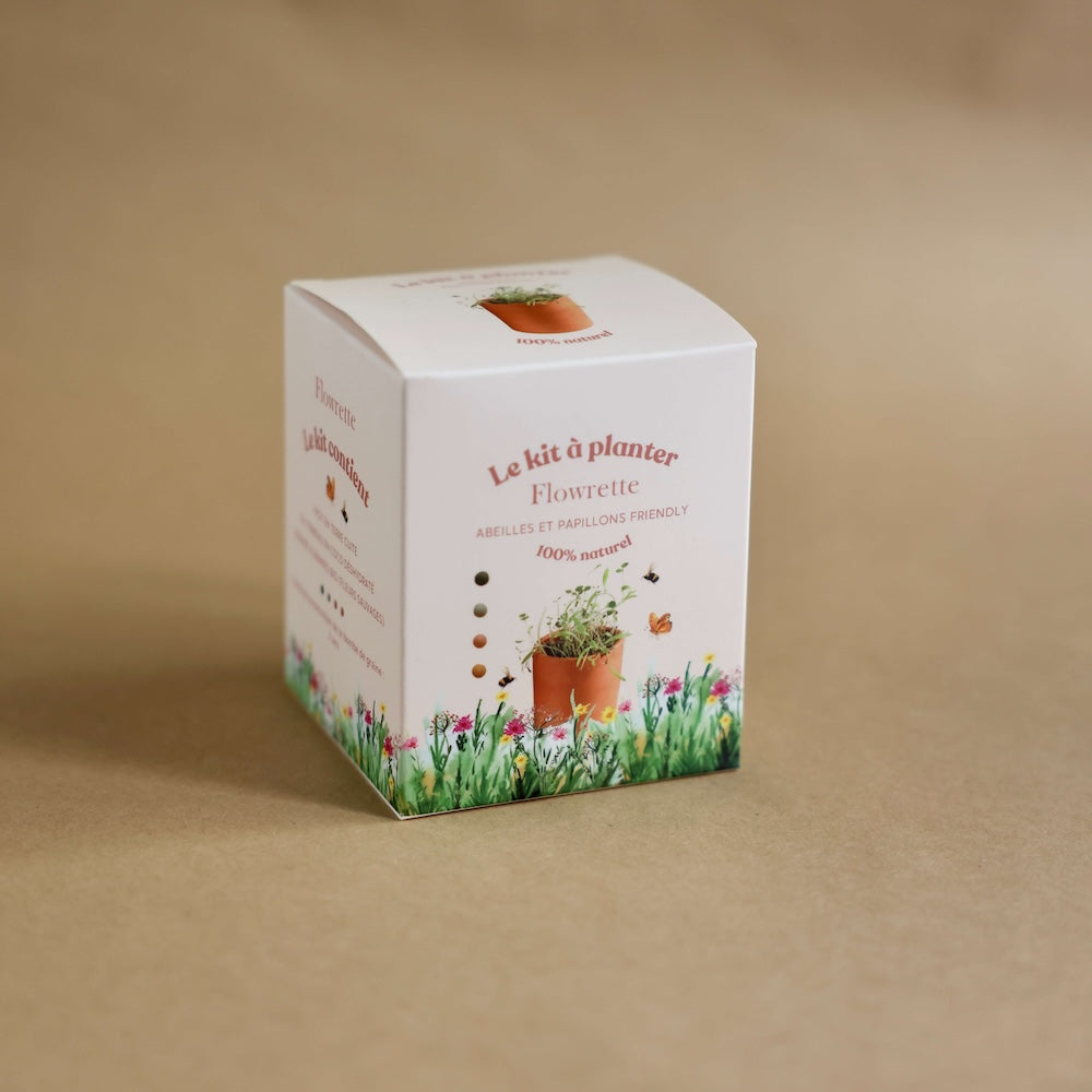 Flowrette Kit à planter pot céramique graines bio