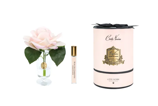 Côte Noire Charente Rose fleur parfumée champagne CHR15
