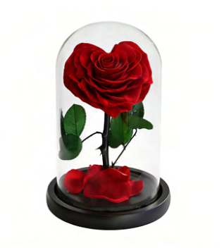 Feuillazur Rungis Rose en cœur sous cloche rouge 12x17 cm