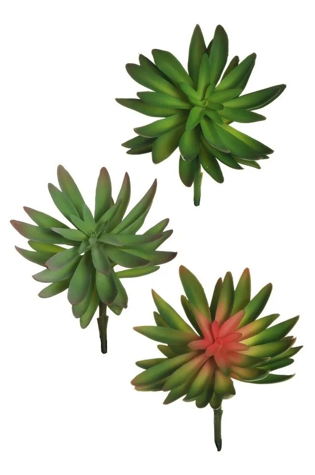 Feuillazur Rungis Crassula artificiel Vert 17x18cm