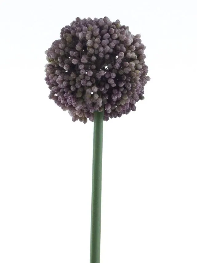 Feuillazur Rungis Allium artificiel 66 cm rose fleur boule