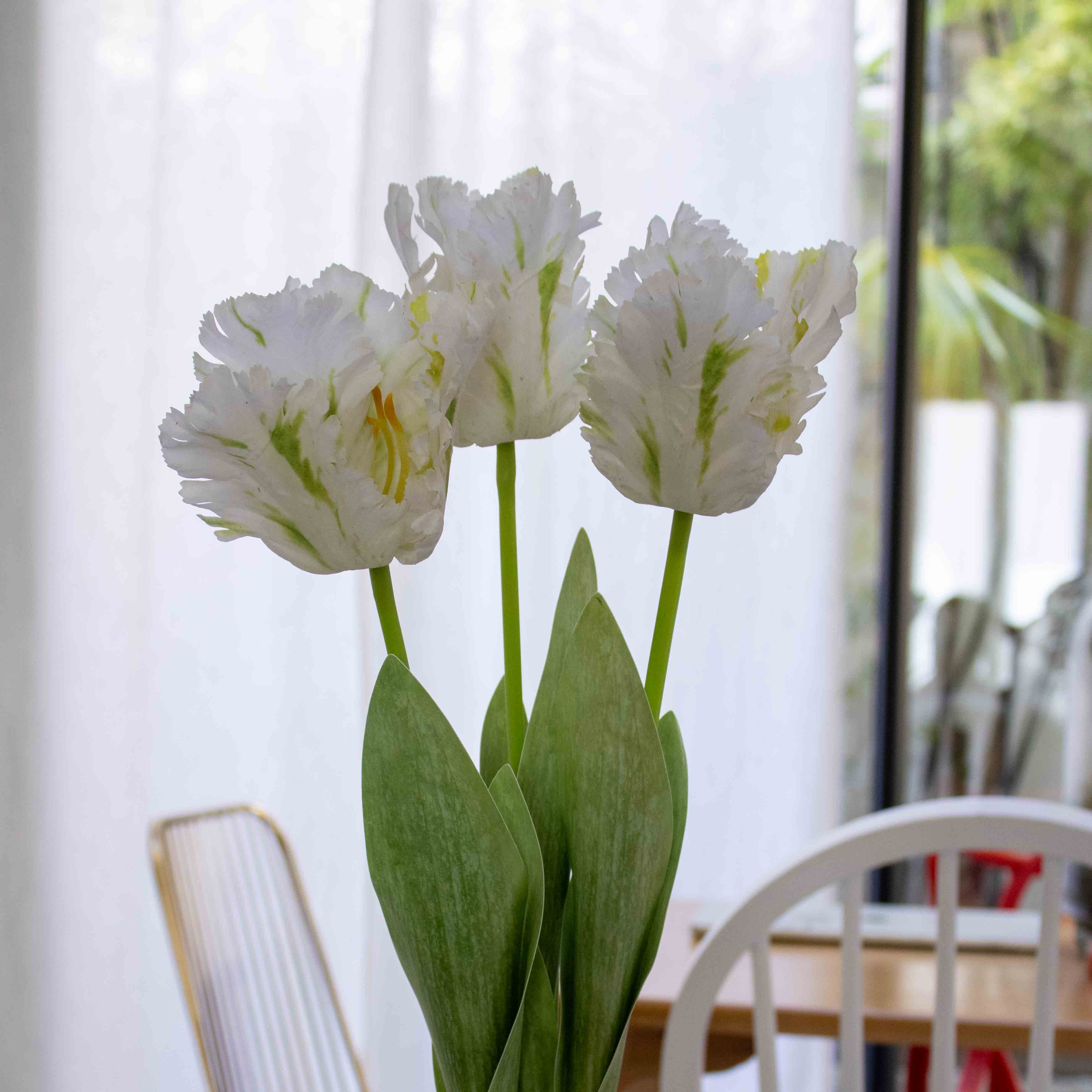 Flowrette Fleurs artificielles tulipe perroquet blanche x1