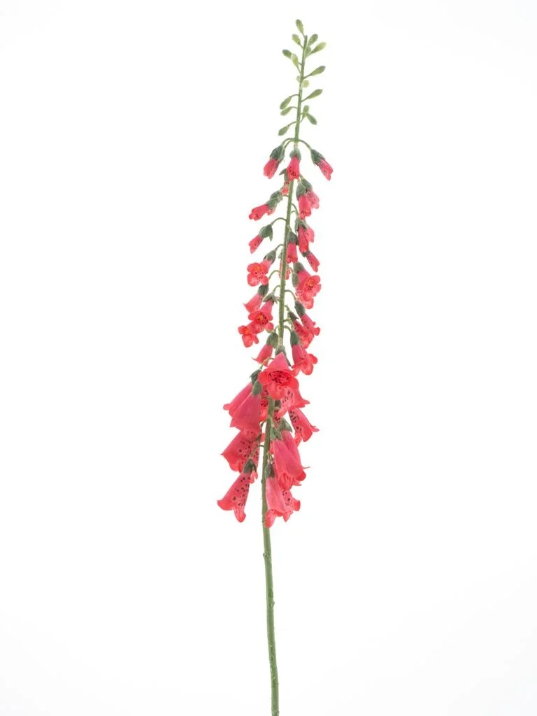 Feuillazur Rungis Branche de digitale fleur violette 126 cm