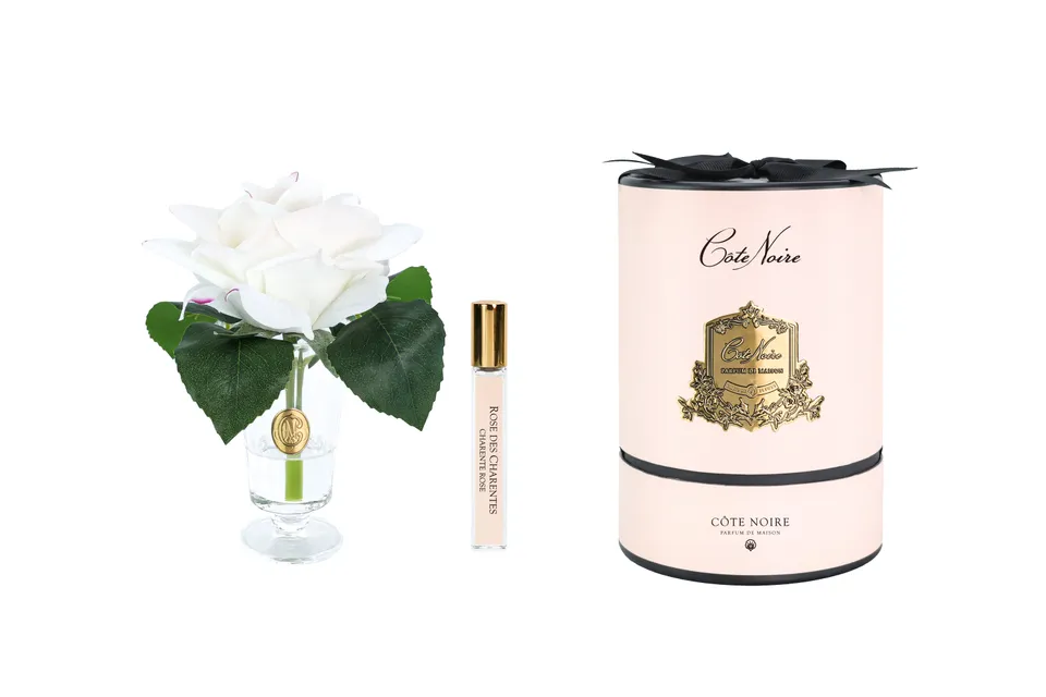 Côte Noire Perfumed Flowers CHR02 rose parfumée blush