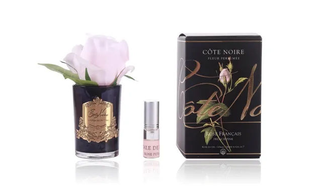 Côte Noire Perfumed Flowers GMRB46 rose french pink vase noir