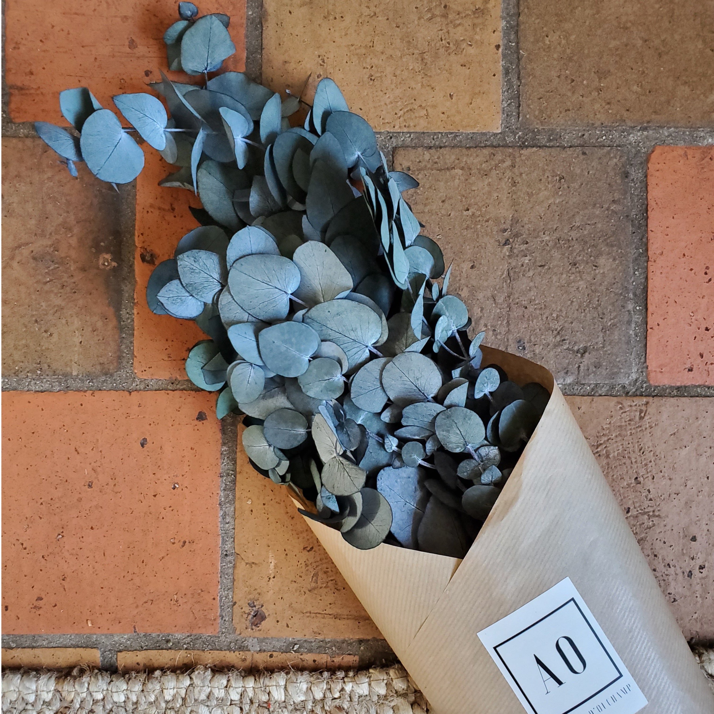 Ateliers Ouchamp Bottes Eucalyptus Cinerea stabilisé vert