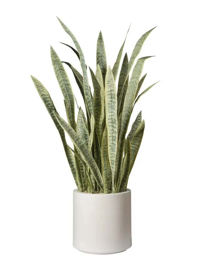 Feuillazur Rungis Sansevieria plante artificielle vert 135 cm