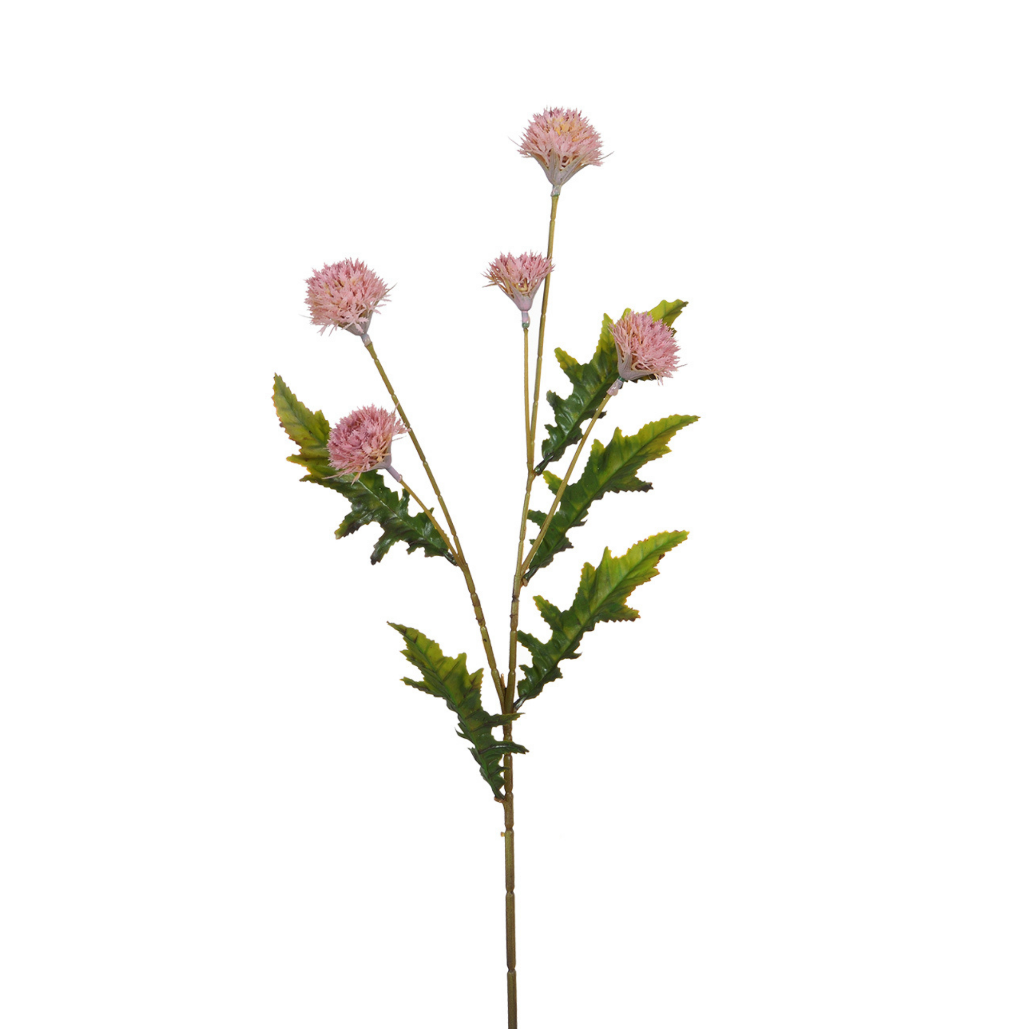 Sia Home Tiges Chrysanthème Ping Pong tige artificielle 62 cm