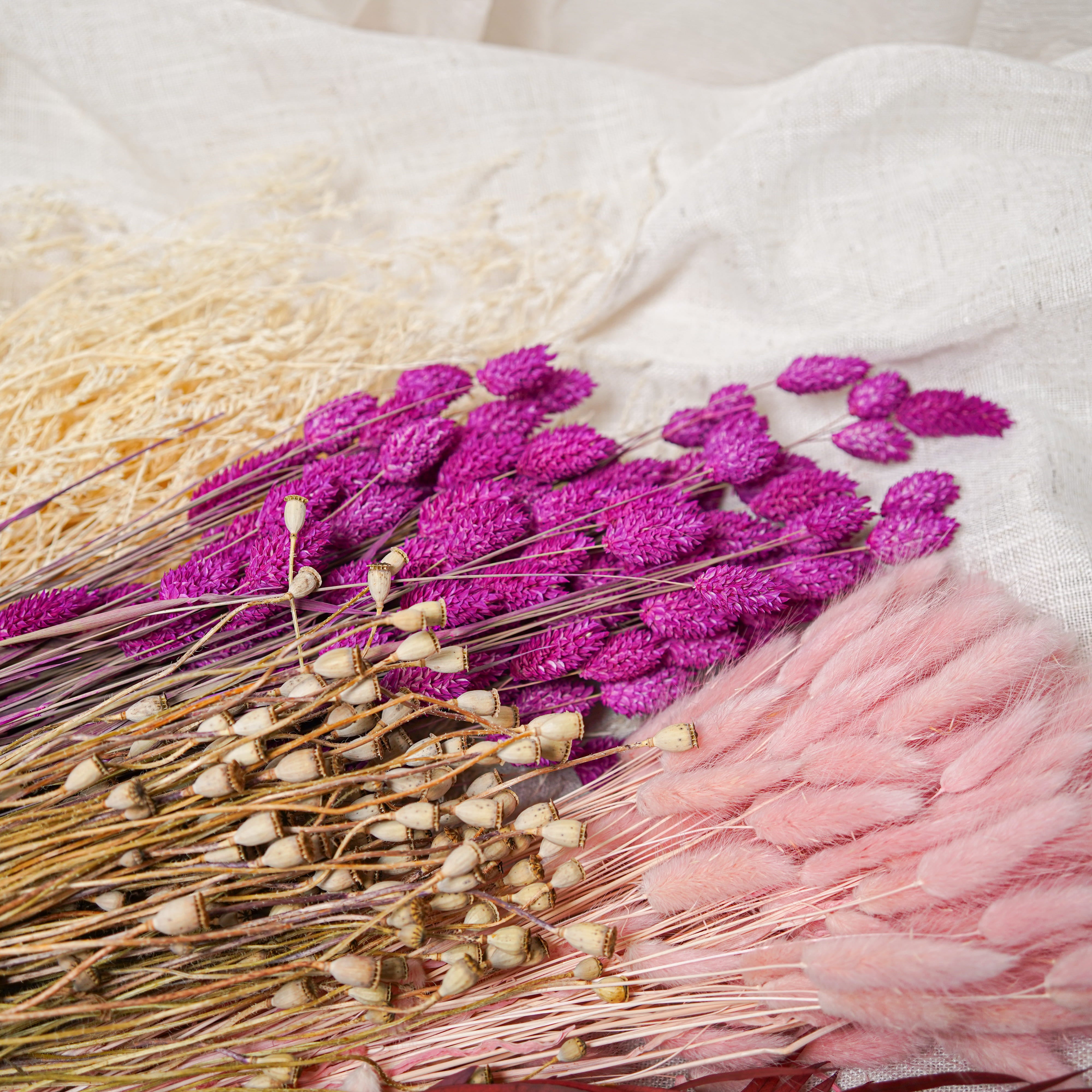 Flowrette Fleurs Séchées assortiment 5 bottes roses