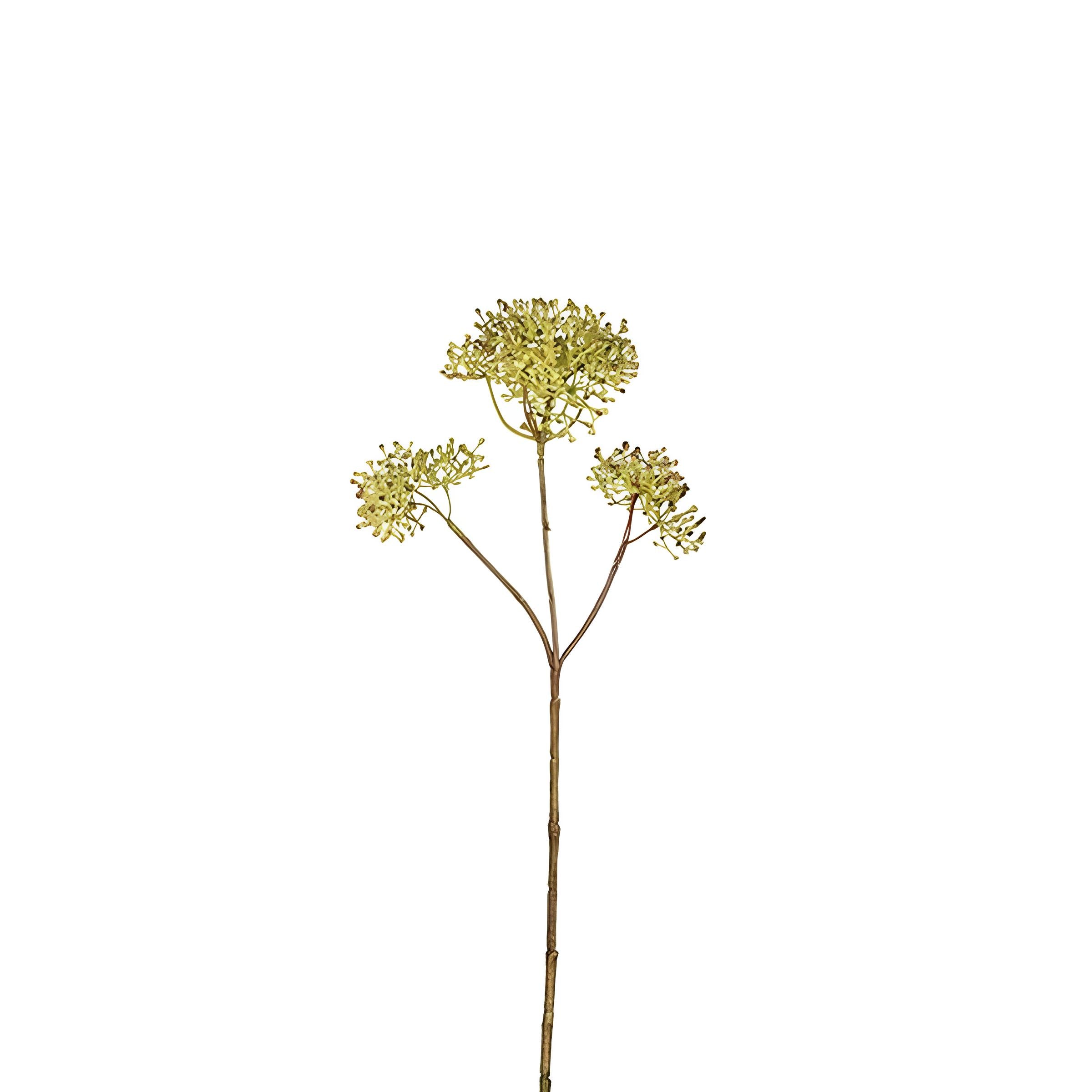 Sia Home Skimmia tige feuillage artificiel marron 40 cm