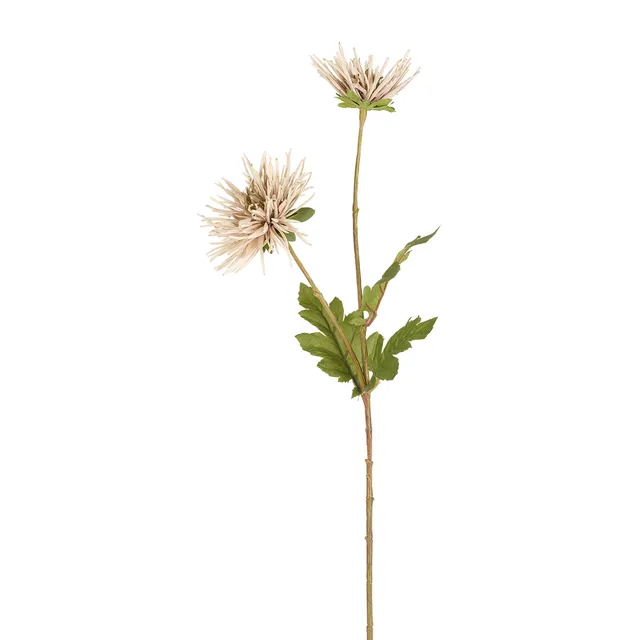 Sia Tiges Tokyo tige beige 71 cm polyester