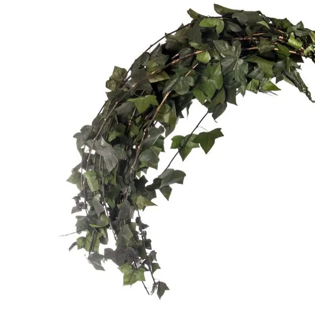 Feuillazur Rungis Hedera retombant stabilisé vert 80 cm