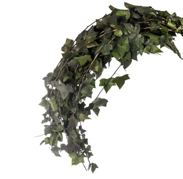 Feuillazur Rungis Hedera retombant stabilisé vert 80 cm