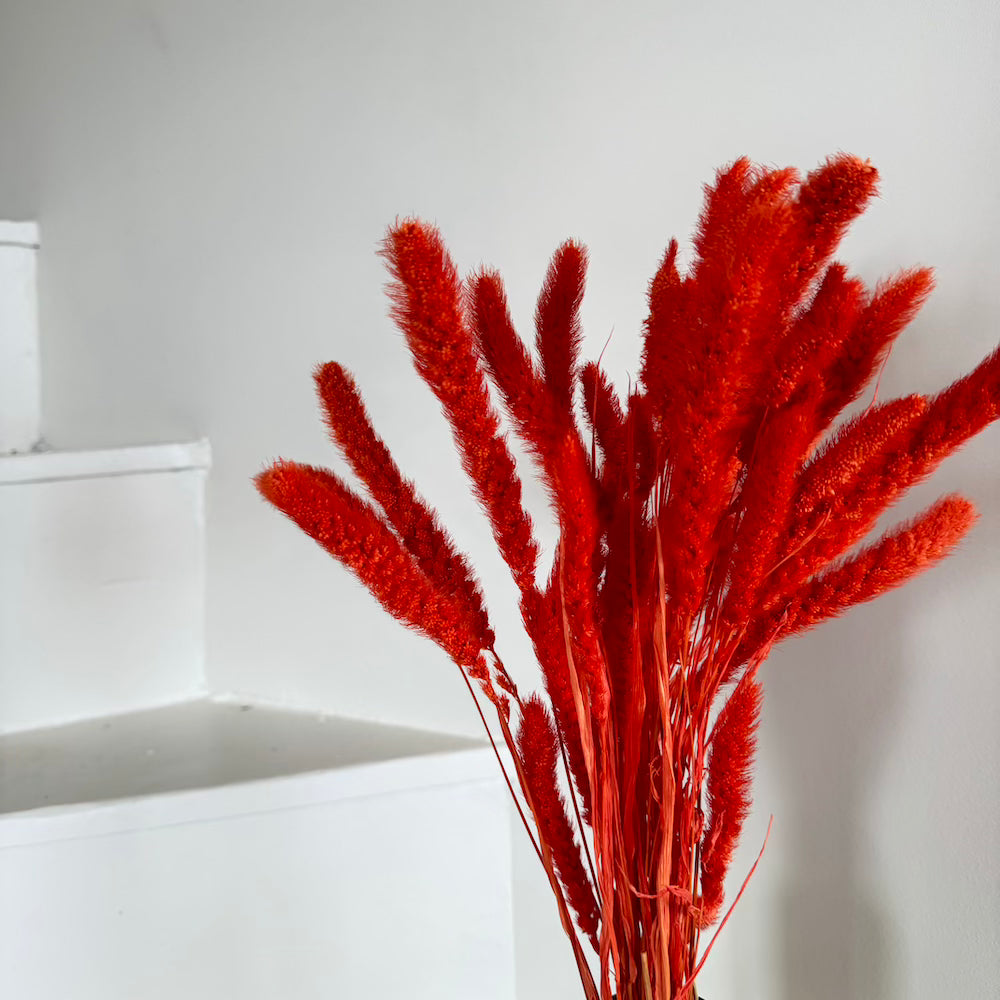 Flowrette Botte sétaire orange foncé séchée x1 herbe déco vase
